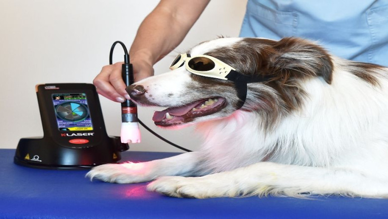 k laser cube p30 vet application bfu 5289 1 1