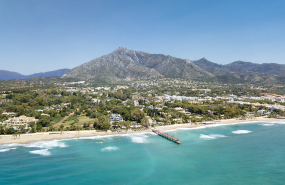 marbella lpa informe 2025 marbella lpa informe 2025