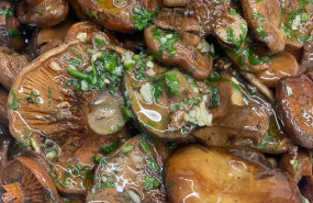 teca sabat 20251112184821 teca sabat 20251112184821