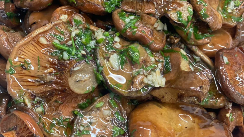 teca sabat 20251112184821 