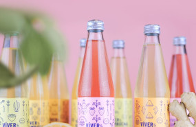 viver kombucha pack mixto lomn fresa y gengibre viver kombucha pack mixto lomn fresa y gengibre