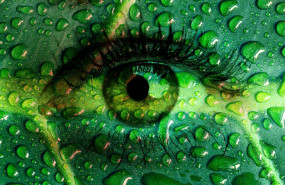 1574433528 climatico neutrino