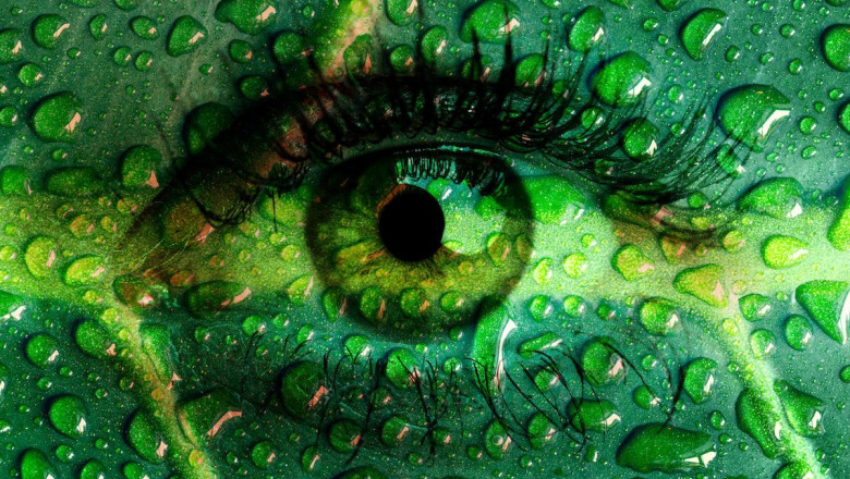 1574433528 climatico neutrino