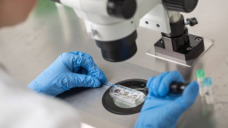 1589186362 shutterstock622514096