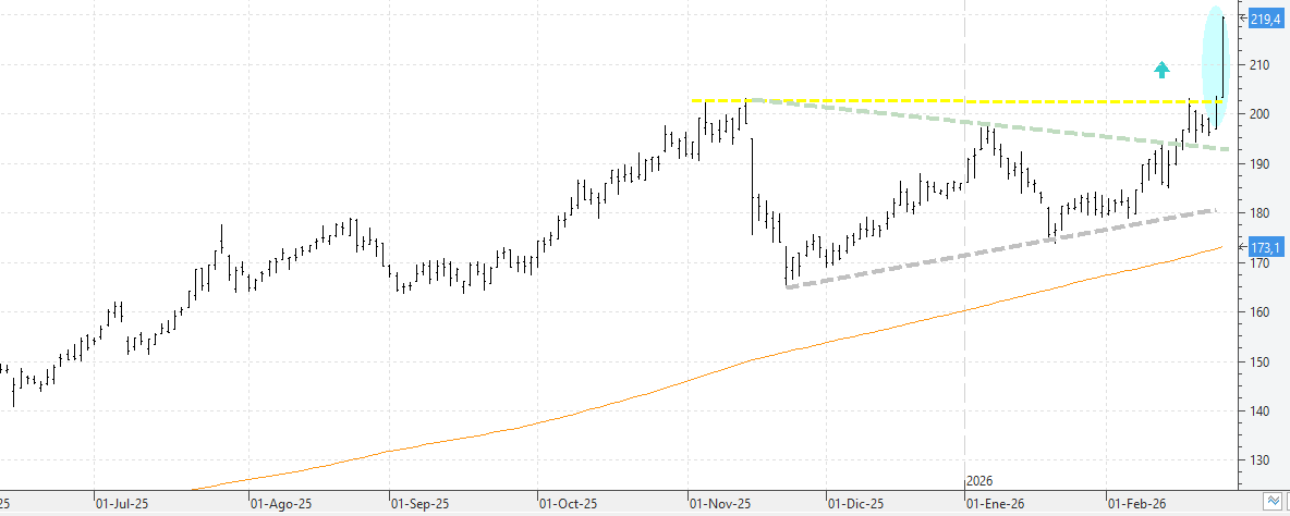 c250226ana c250226ana
