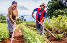 cooperativa la nortea cooperativa la nortea