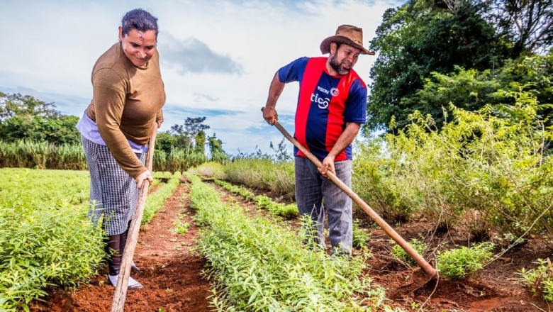 cooperativa la nortea