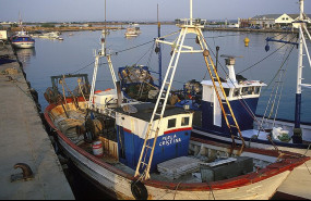 ep archivo   barcos del puerto pesquero de ayamonte huelva