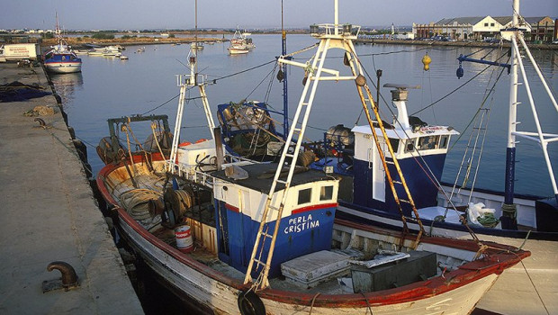 ep archivo   barcos del puerto pesquero de ayamonte huelva