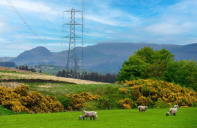 ep archivo   iberdrola cerro 2025 con una cifra record de electricidad distribuida con 255976 gw