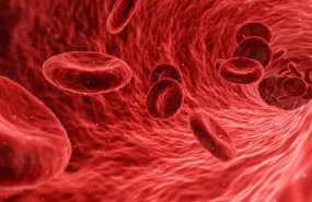 ep arterias sangre