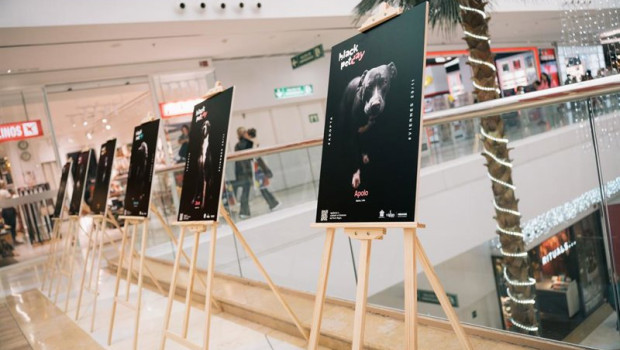 ep el centro comercial miramar en fuengirola malaga