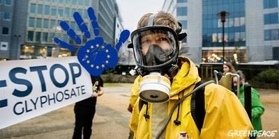 ep greenpeace pideespanavotecontraautorizarglifosato