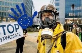 ep greenpeace pideespanavotecontraautorizarglifosato