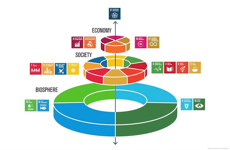 ep infografia que muestra la importancia de los ods relacionados con la biodiversidad ep infografia que muestra la importancia de los ods relacionados con la biodiversidad