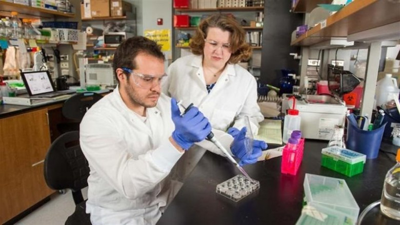 ep la cientifica laurie littlepage trabaja con el estudiante graduado ricardo romero moreno en su