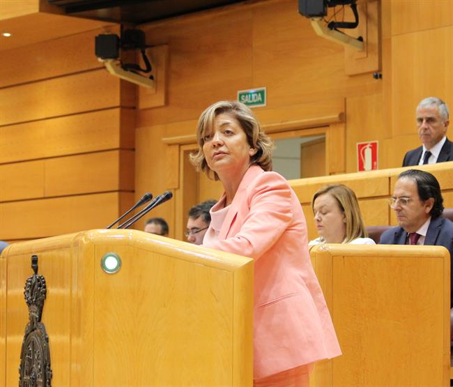 ep la portavoz adjuntappsenado rosa vindel