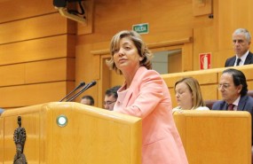 ep la portavoz adjuntappsenado rosa vindel