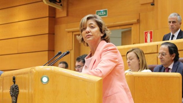 ep la portavoz adjuntappsenado rosa vindel