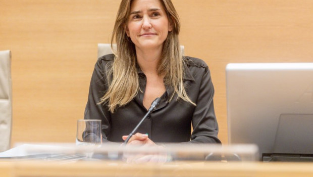 ep la vicepresidenta tercera del gobierno y ministra para la transicion ecologica y reto demografico 20250211174404