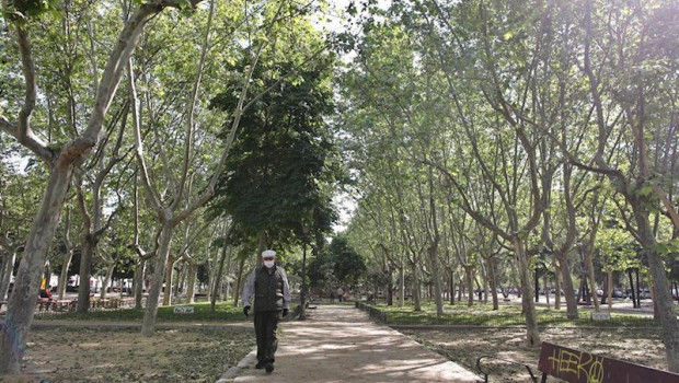 ep un anciano con mascarilla pasea por un camino del parque calero en el distrito de ciudad lineal