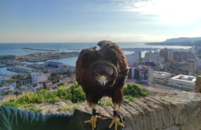 lokmica 20230208144620 