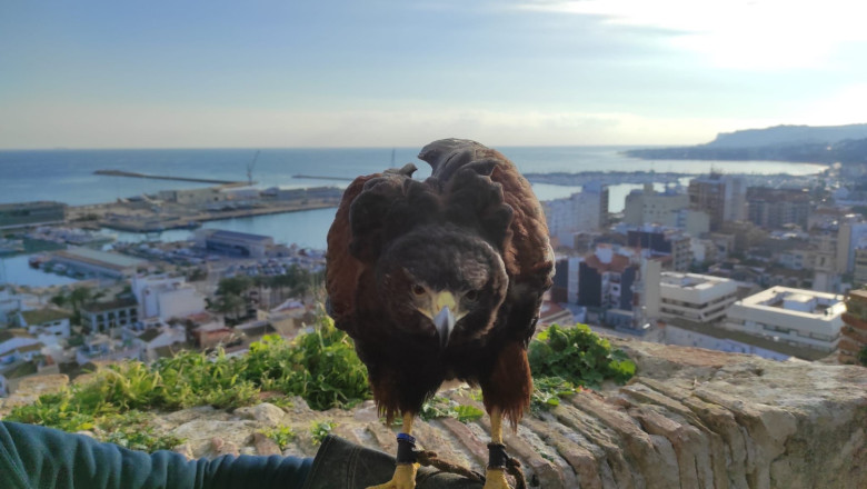 lokmica 20230208144620 