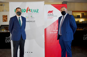 1608291335 foto 1 1608291335 foto 1