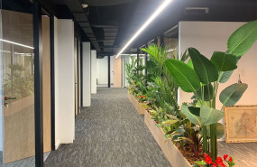 1647939031 5503f9b5 713c 4ec4 9bda bd0983ca464e