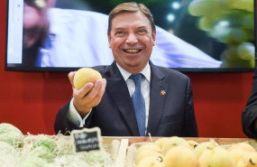 ep archivo el ministro de agricultura y pesca luis planas sostiene una peza de fruta en su visita ep archivo el ministro de agricultura y pesca luis planas sostiene una peza de fruta en su visita