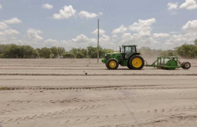 ep archivo   un tractor prepara un campo de fresas fuera de temporada