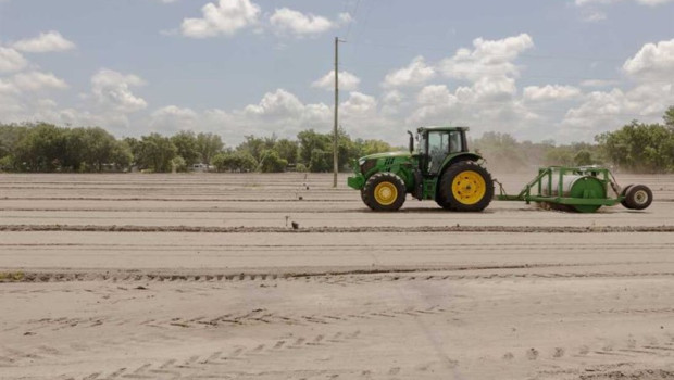ep archivo   un tractor prepara un campo de fresas fuera de temporada