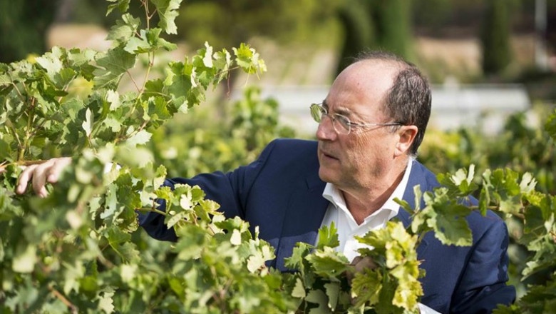 Carlos Moro, presidente de Bodegas Familiares Matarromera | BODEGAS MATARROMERA - Archivo ep carlos moro presidentebodegas familiares matarromera