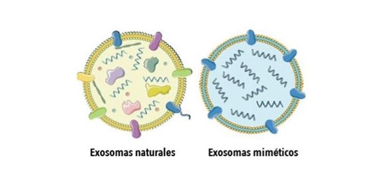 ep exosomas 20190730173204