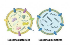 ep exosomas 20190730173204