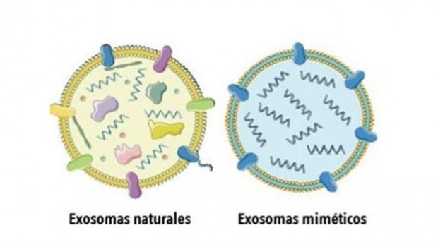 ep exosomas 20190730173204