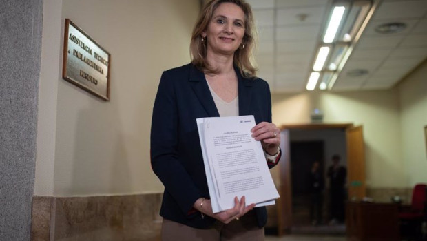 ep la vicesecretaria de desarrollo sostenible del pp paloma martin posa tras registrar en el senado