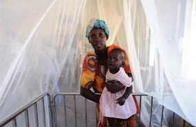 ep malaria 20190723144403