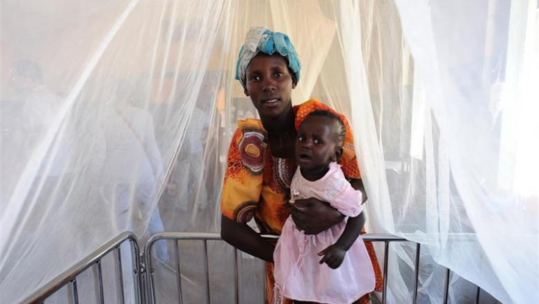 ep malaria 20190723144403