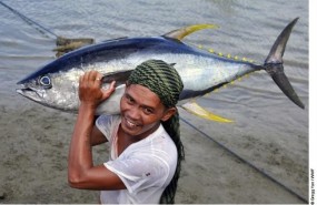 ep pescadoratunaleta amarillafilipinas