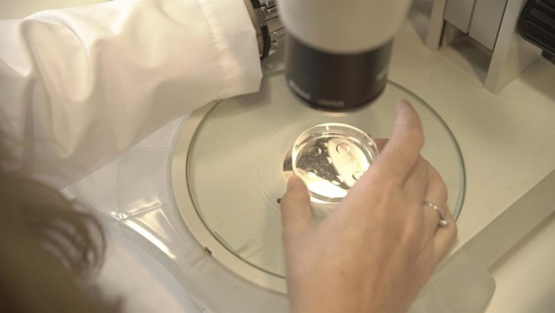 ep proceso de reproduccion asistida ep proceso de reproduccion asistida