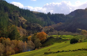 ep santa eulalia de oscos asturias se convierte en la capital del turismo rural 2024