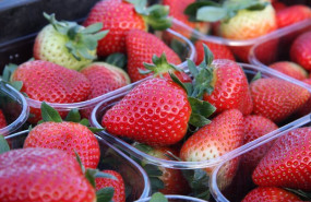 ep tarrinas de fresas de huelva