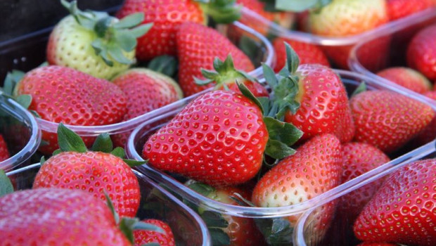 ep tarrinas de fresas de huelva