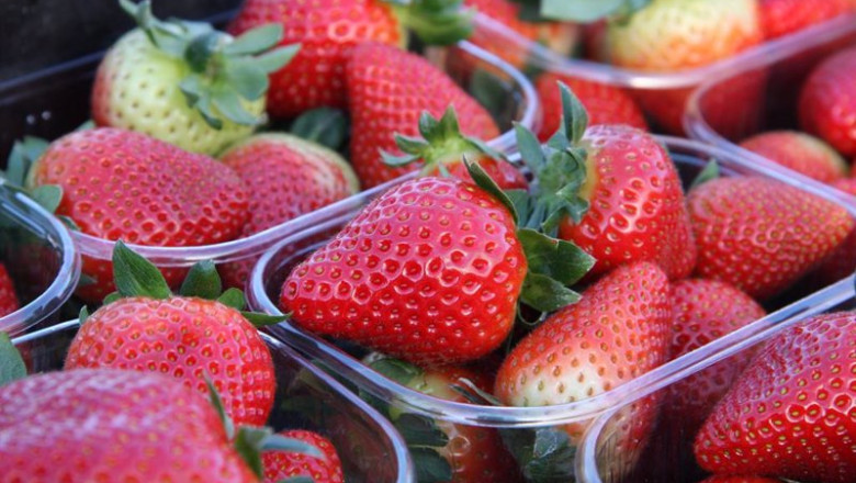 ep tarrinas de fresas de huelva ep tarrinas de fresas de huelva