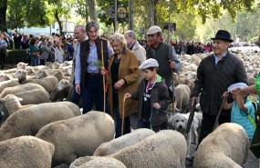 ep trashumancia 2018