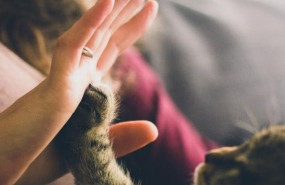 1571298734 edgard cooper