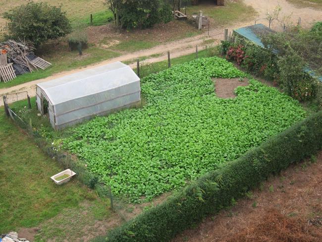 ep agricultura