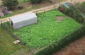 ep agricultura
