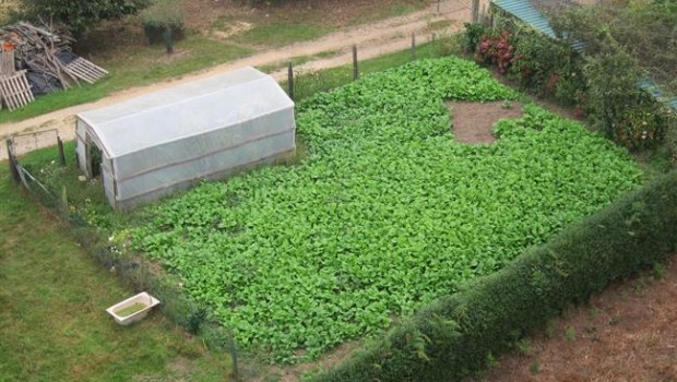 ep agricultura